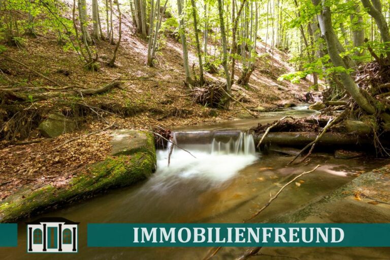 Waldgrundstück mit eigenem Bachlauf am Stadtrand von Wuppertal